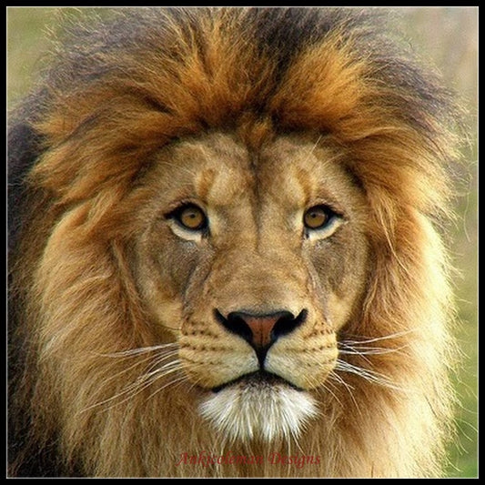 |200001674:200013173|2251832656693484-14CT