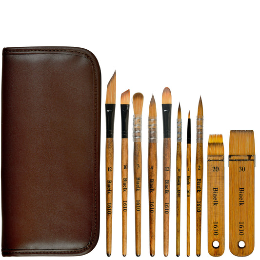 Biaelk Watercolor Acrylic Painting Brush 10PCS/Set Paint Brushes Taklon Hair Multi-Shape Art Supplies